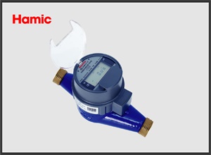 Hamic Electronic NB-Iot Remote Water Meter II